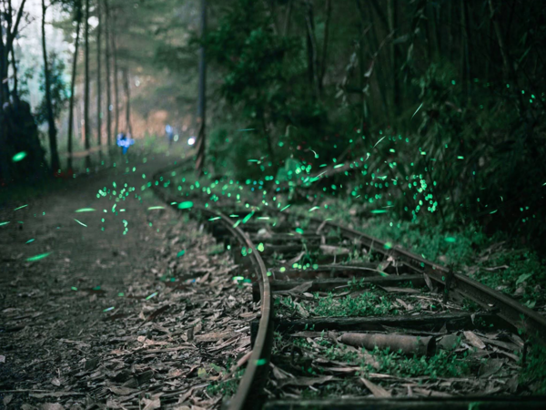 南投鹿谷三生緣區